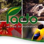 307153877_433636185526790_6641713938663547477_n