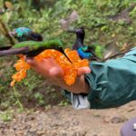 537360415_17849999148539672_6535894381121416307_n