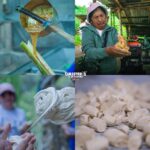 563482293_1398951425564493_5950073631929958859_n