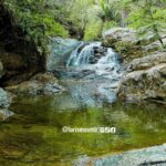 563977821_1398951298897839_52118851779230737_n