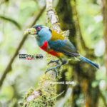 564040238_1398951435564492_7127471207097644445_n