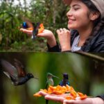 566223606_1216336420530375_260220825645879215_n